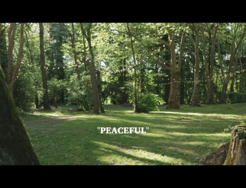 Protégé : FILM MARIAGE “Peaceful” Elodie & Thomas