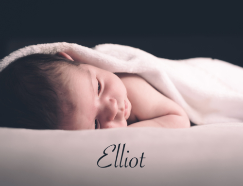 Protégé : PHOTOS: ELLIOT